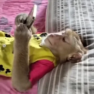 🤩