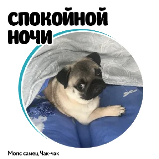🛏