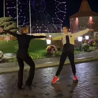 🎡