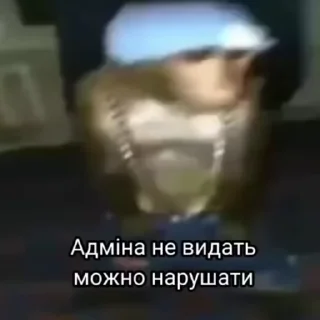 🐒