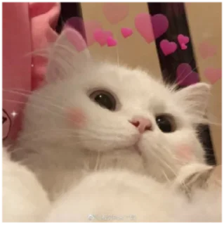 💓