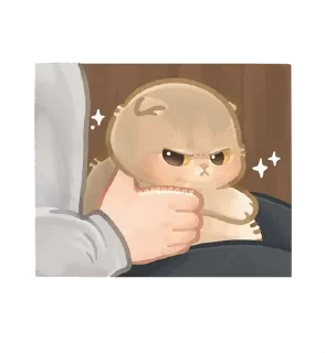 🌟