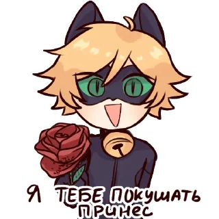 🌹