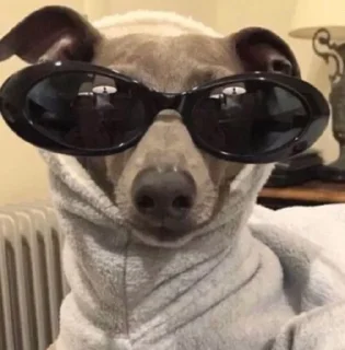 😎