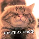 😴