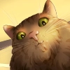Cat portaits @MasterLamaArt