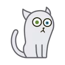 Hoover the Special Cat