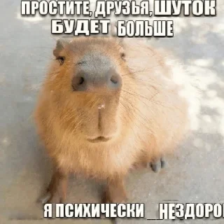 😘