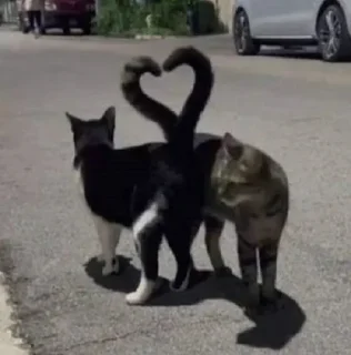 ❤️