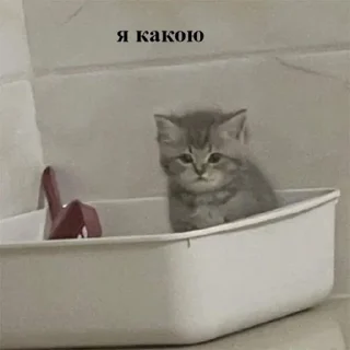 🤎