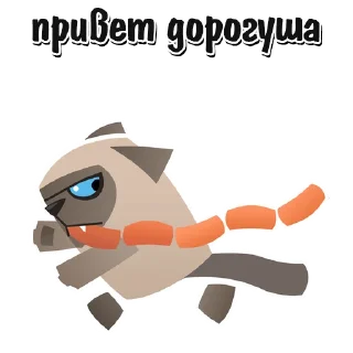 🐱