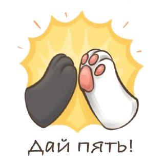 ✋