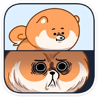 😨