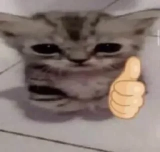 👍