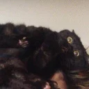 😳