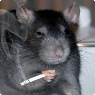 🚬