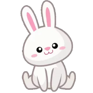🐰