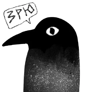 🐦‍⬛