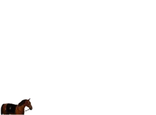🐎