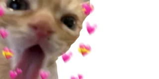 🥰