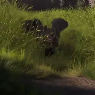🎶
