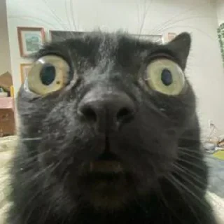 👀