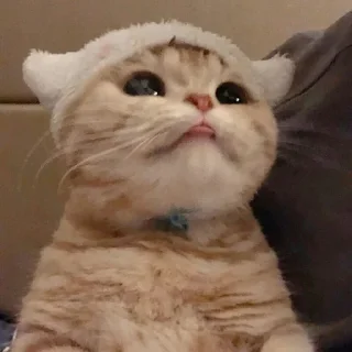 ❣️