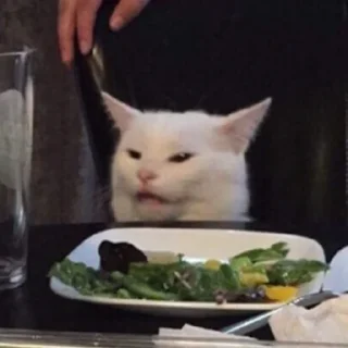 😾