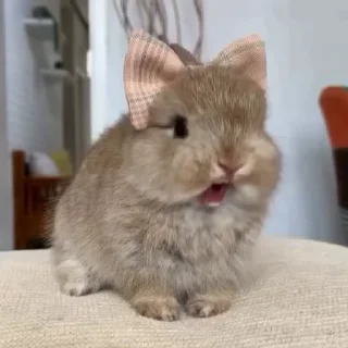 🤩