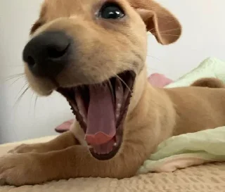 😆
