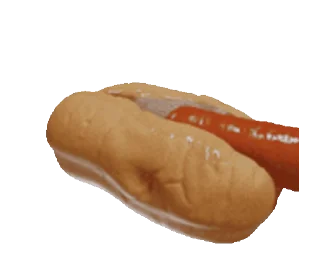 🌭