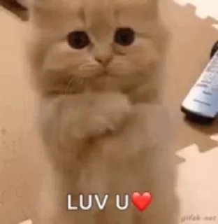 ❤️