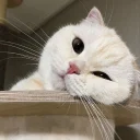 🙁