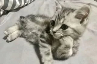 🙃
