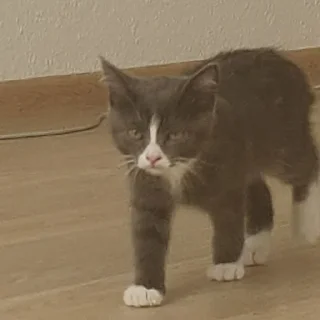 ☹️