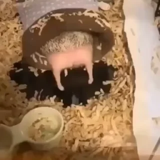 ☺