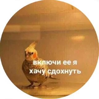 😭