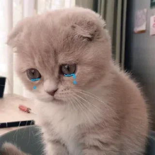 😭