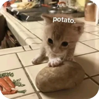 🥔