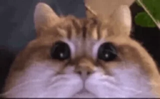 🤨