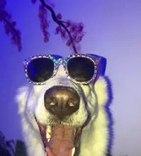 😎