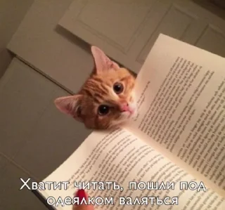 🥺