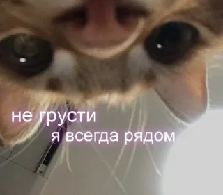 🙃