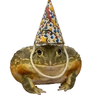 🐸
