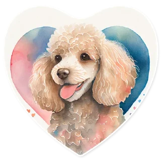 🐩