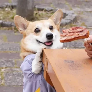 😊
