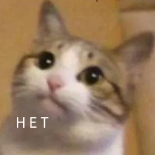🚫