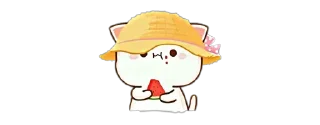 🍉