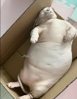 😔