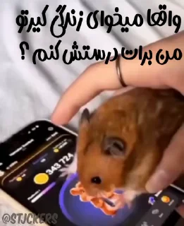 🐹